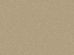 Scoty Knit Plain