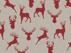 Scoty Noel Deer
