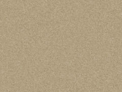 Scoty Baleo Plain